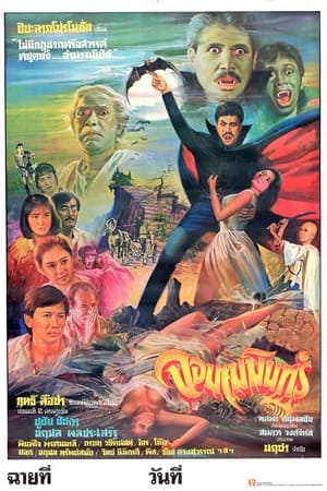 Poster จอมเมฆินทร์ 1985