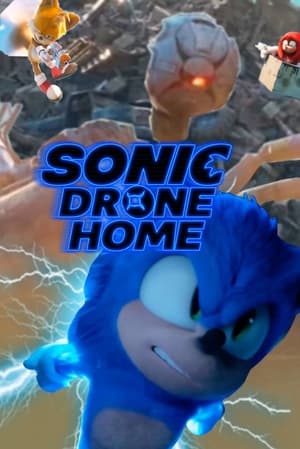 Poster Sonic und die Drohne 2022