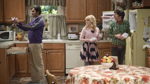 The Big Bang Theory 8 x 18