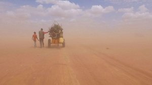 Human Flow (2017)