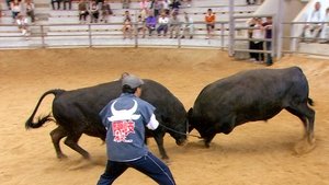 Journeys in Japan: 12×24