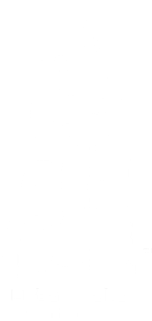 Mira-futuro