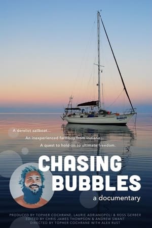 Poster Chasing Bubbles 2016