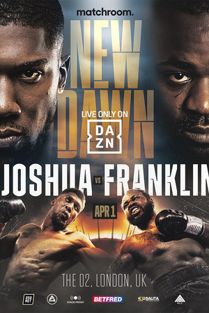 Anthony Joshua vs. Jermaine Franklin 4