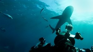 World’s Biggest Bull Shark? (2021)