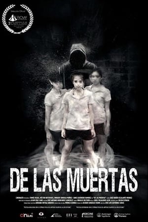 Poster About the Deaths (2016)