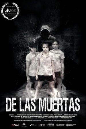Poster De las muertas 2016