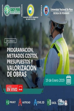 01 DIPLOMADO EN PROGRAMACI&Oacute;N, METRADOS, PRESUPUESTOS Y VALORIZACI&Oacute;N DE OBRAS VIALES