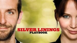 Silver Linings Playbook 2012