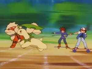 Pokémon: 5×19