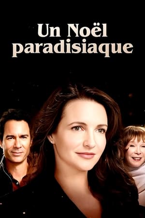 Poster Un Noël paradisiaque 2016