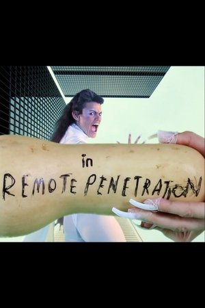 Poster Remote Penetration / Stain of History (2013)