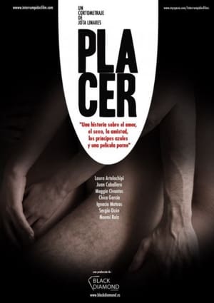 Poster Placer 2009