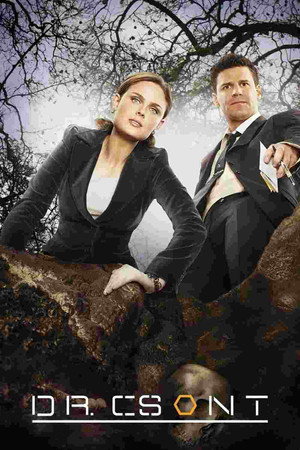 poster Bones