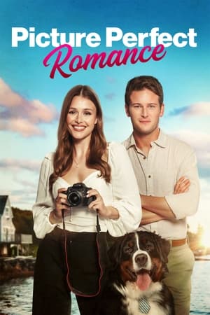 Poster Picture Perfect Romance 2022