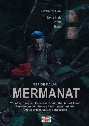 Image Geriye Kalan... Mermanat