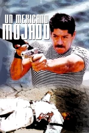 Poster Un mexicano mojado 1999