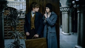 Fantastic Beasts and Where to Find Them(2016)