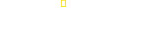 O Resgate dos Leopardos — Logos 4