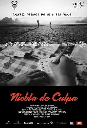 Poster Niebla de Culpa 2018