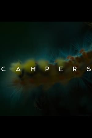 Poster Campers 2018