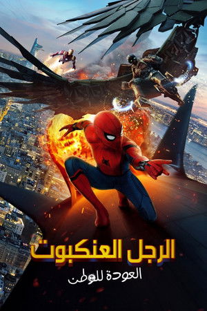 الرجل العنكبوت: العودة للوطن (2017)