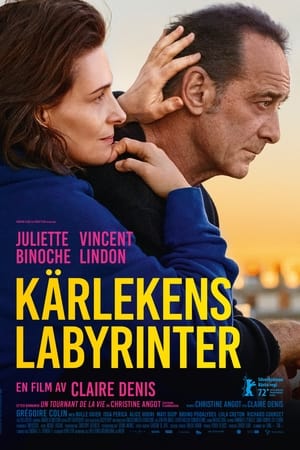 Kärlekens labyrinter 2022