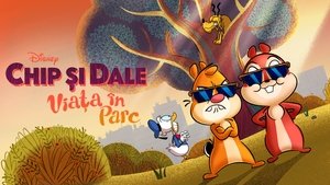 Chip ‘n’ Dale: Park Life Seria Dublată în Română