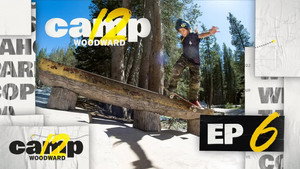 Among The Trees - Episode 6