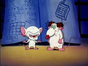 Pinky y Cerebro: 3×3