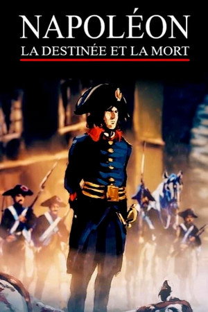 Napoleon: Destiny and Death 9