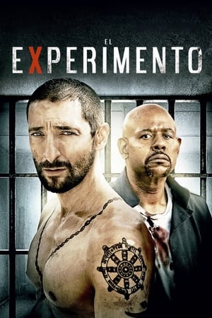 Poster El experimento 2010