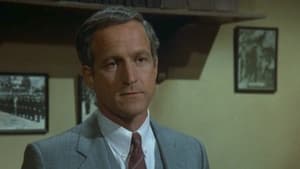 Polizeirevier Hill Street: 4×22