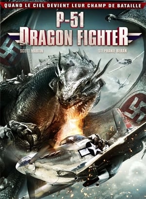 Poster P-51 Dragon Fighter 2014