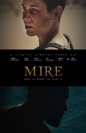 Poster Mire (2017)
