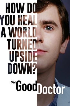 The Good Doctor 4° Temporada 2020 Download Torrent - Poster
