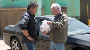 Ray Donovan 1×9