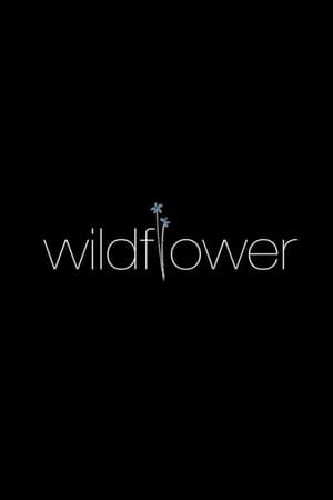 Image Wildflower