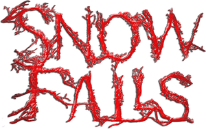 Snow Falls — Logos 1