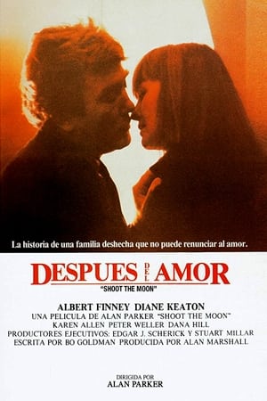 Poster Después del amor 1982