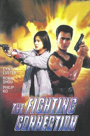 Poster Fighting Connection 1992