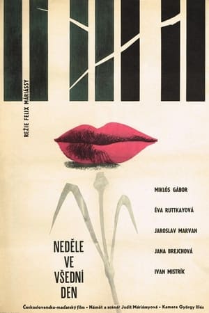 Poster Pirosbetűs hétköznapok 1962