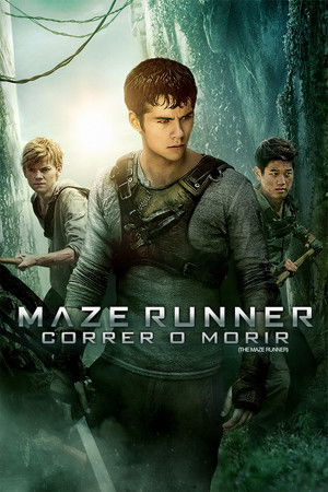 poster The Maze Runner