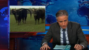 The Daily Show: 20×43