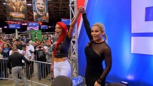 Total Divas Total Superstars