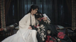 Veil of Shadows: 1×21