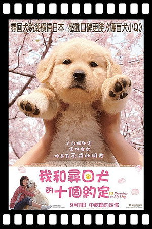 10 Promises to My Dog