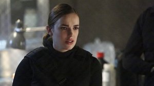 Marvel’s Agents of S.H.I.E.L.D.: 2×19