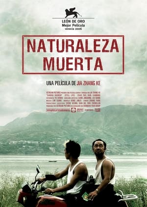 Poster Naturaleza muerta 2006