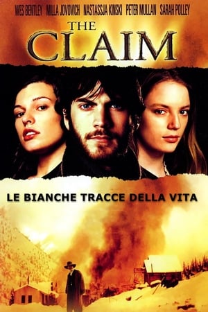 Poster di Le bianche tracce della vita